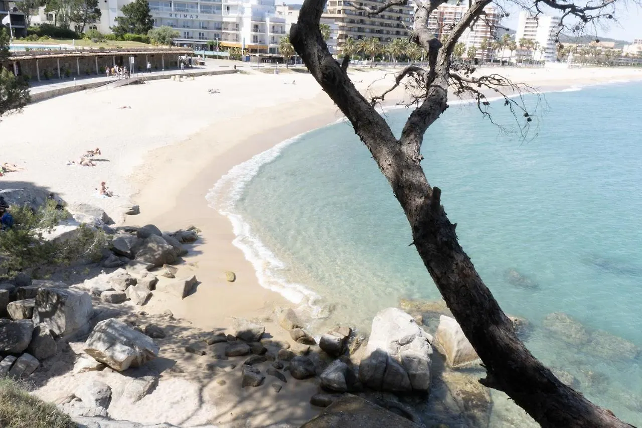 Appartement Apartamento Con Parking A 50M De La Playa Sant Antoni De Calonge