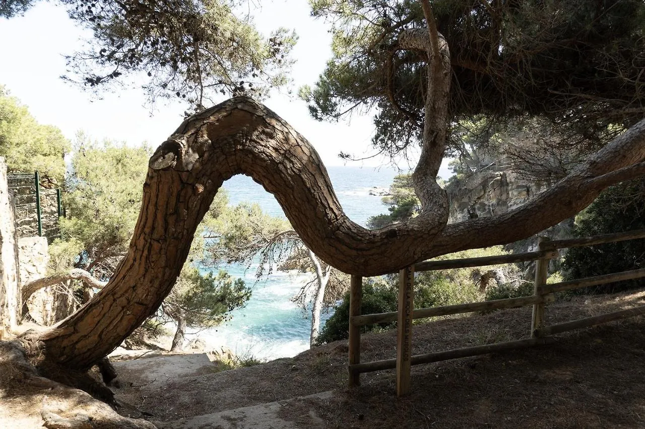 Apartamento Con Parking A 50M De La Playa Sant Antoni De Calonge 0*,